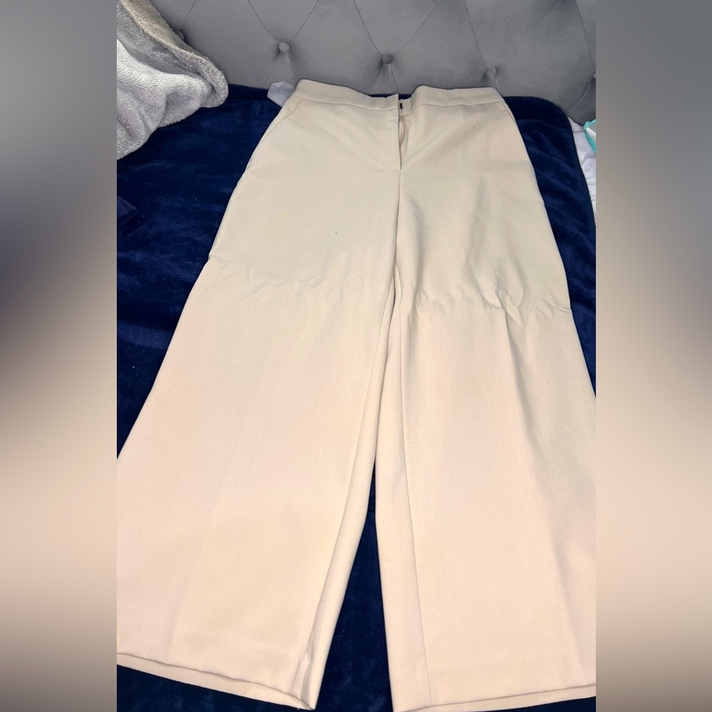 Zara Women's Wide Leg Pants